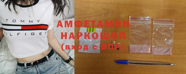 твердый Вяземский
