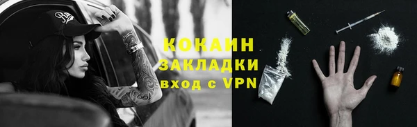твердый Вяземский
